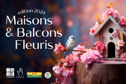 Participez et inscrivez-vous à l'édition 2024 des Maisons & Balcons fleuris !